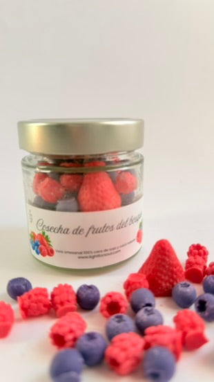 COSECHA DE FRUTOS DEL BOSQUE