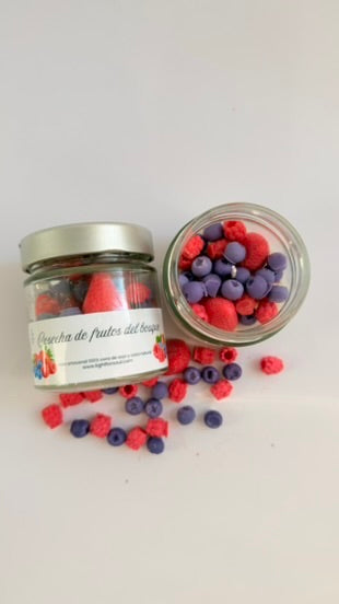 COSECHA DE FRUTOS DEL BOSQUE