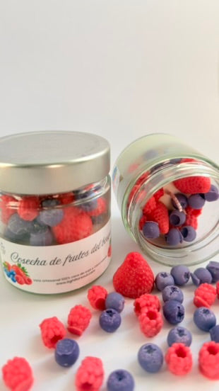 COSECHA DE FRUTOS DEL BOSQUE